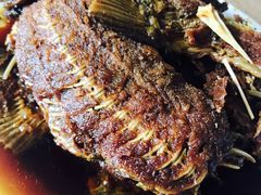 -金鹏鱼肉馆