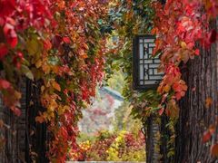 -云端咖啡(山顶教堂店)