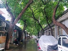 -棉花胡同幼儿园(松树街分园)