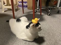 -CLUE演绎实景剧本杀(江南西店)