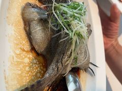 -顺峰(农展馆店)