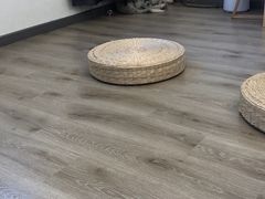 -浣熊柯尔鸭土拨鼠·电玩咖