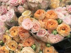 -循礼门鲜花花市(武汉循礼门店)