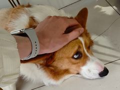 -平行世界·猫咖(首经贸店)