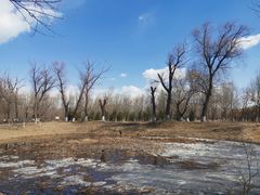 -东郊湿地公园