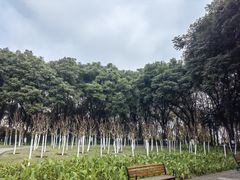 -重庆彩云湖湿地公园