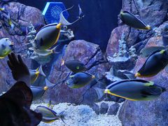 -成都浩海立方海洋公园