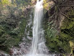 -莫里热带雨林景区