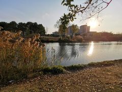 -SMP滑板公园