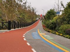 -上海长兴岛郊野公园