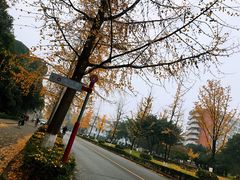 -四川大学(望江校区)