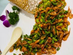 竹篇小河虾-大师傅金奖啤酒鱼(西街口总店)