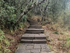 -武夷山风景名胜区-虎啸岩
