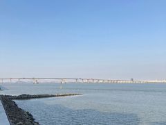 -大湾区中央湿地公园