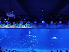 -烟台海昌鲸鲨海洋公园