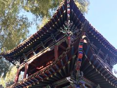 -张掖大佛寺景区