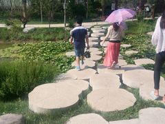 -武清南湖绿博园