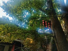 -钦善斋(武侯祠店)