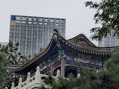 -西海子公园