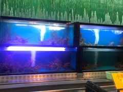 水产区-万宝海鲜舫(劳动公园店)