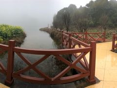 -广州市石门国家森林公园