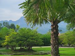 -中国科学院西双版纳热带植物园