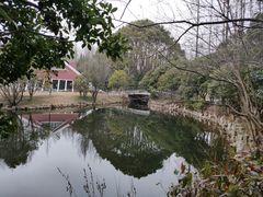 -东平国家森林公园