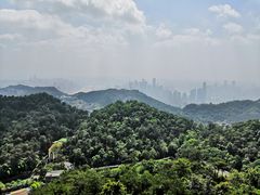-大金鹰园
