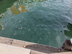 -澳大利亚国家海事博物馆
