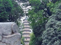 -灵谷景区