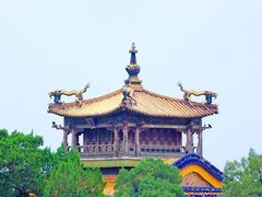 -故宫博物院(故宫)