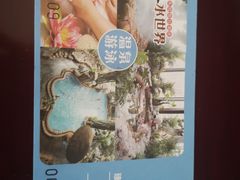 -德州凤冠假日酒店