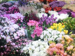 -双季花艺园艺市场(浦东店)