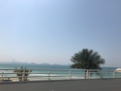 -迪拜帆船酒店海底餐厅