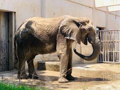 -太平洋海底世界