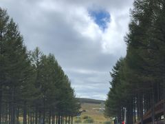 -御道口草原森林风景区