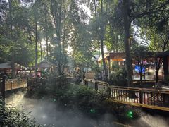 -二荆条·蜀鲜汇城市森林火锅