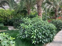 -兴芮温泉度假区