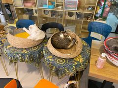 -平行世界·猫咖(首经贸店)