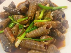 椒丝炒长尾罗-张家卫·阳江菜·小海鲜(肥婆湾桥店)