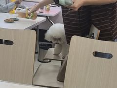 -奕宏饺子楼(朱庄小区店)