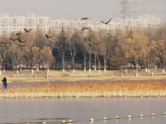 -南海子公园