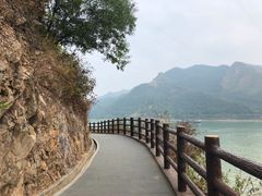 -羚羊峡古栈道森林公园