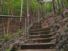 -滴水岩森林公园