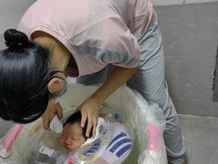 -田螺阿姨自营月嫂·育儿嫂(高新店)