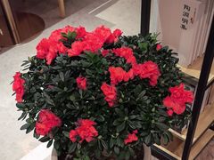 -宁波石浦大饭店(新材料城店)