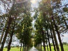 -嘉北郊野公园