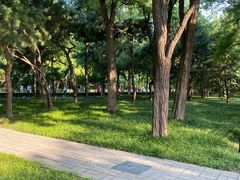 -玲珑塔公园