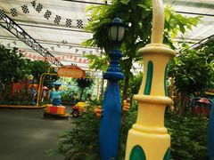 -南宫五洲植物乐园