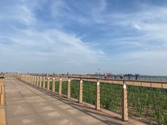 -东疆建设开发纪念公园